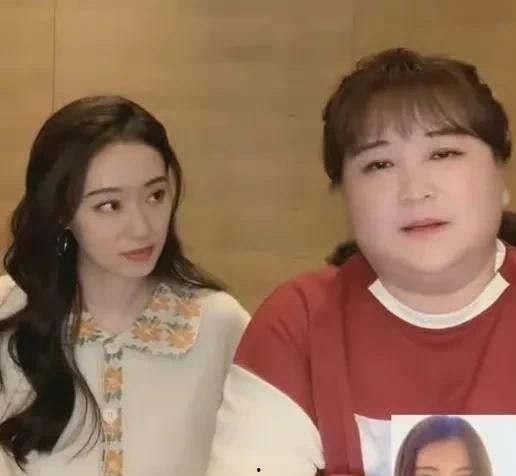 娱乐圈吃瓜爆料团子