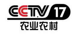 17频道在线观看,实时在线观看精彩瞬间